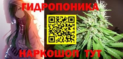 стаф Новозыбков