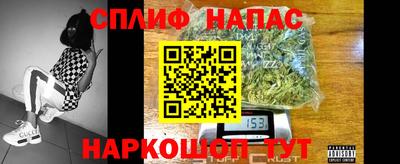 стаф Новозыбков