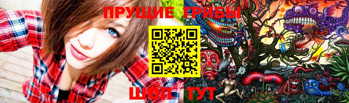 Псилоцибиновые грибы мицелий  купить закладку  Вход с VPN  Пугачёв  Псилоцибиновые грибы Psilocybe 